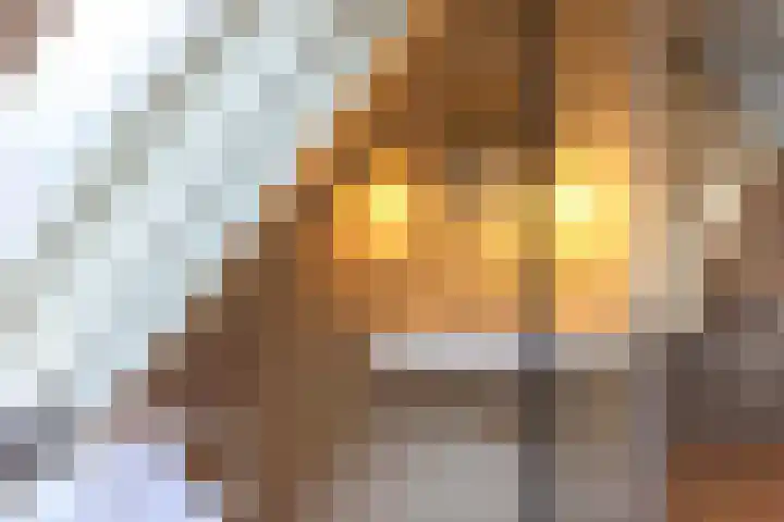 Coehoornsingel 115 Groningen thumbnail 34