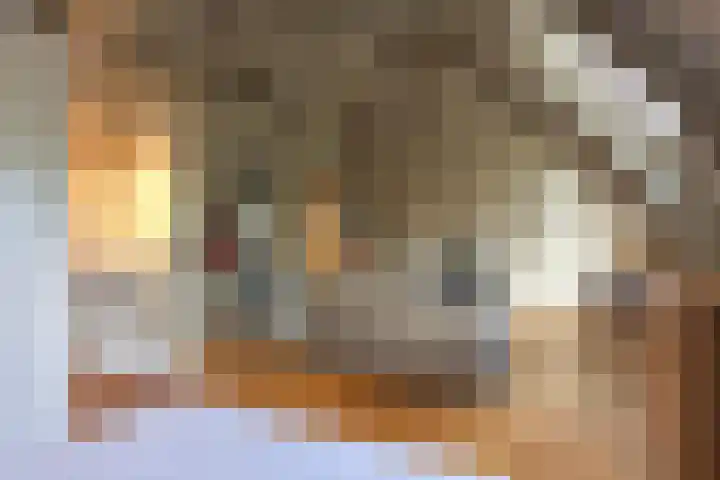 Coehoornsingel 115 Groningen thumbnail 35