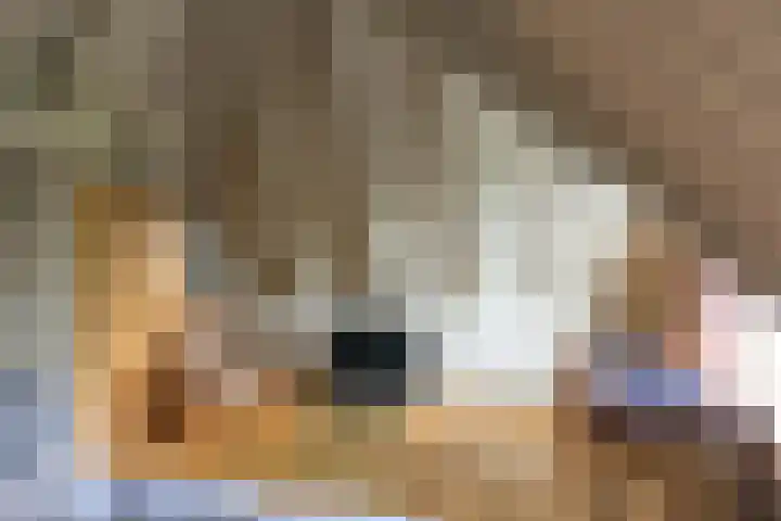 Coehoornsingel 115 Groningen thumbnail 36