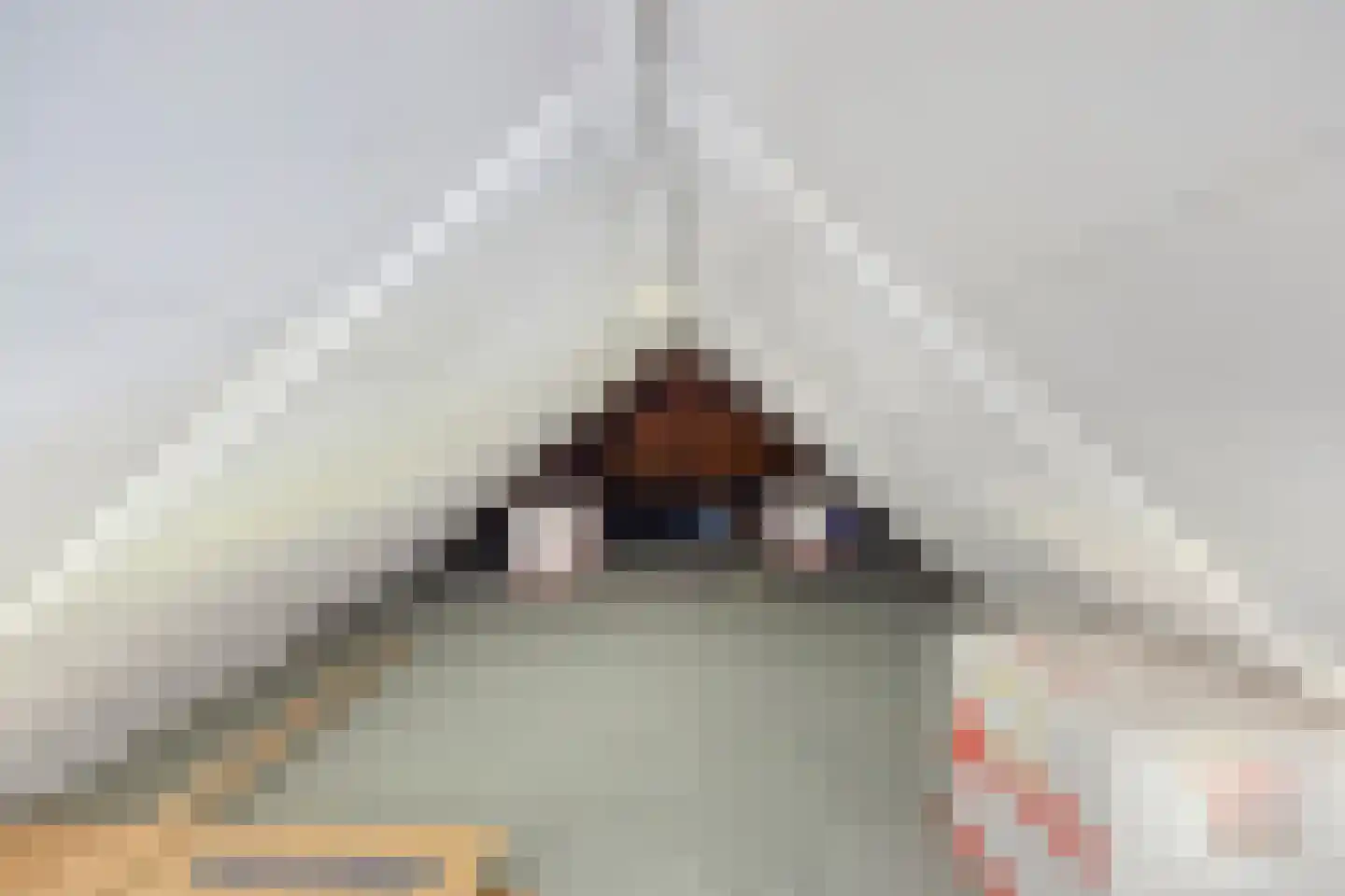 Coehoornsingel 20 Zutphen thumbnail 32