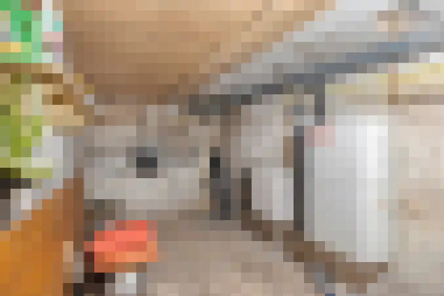 Coehoornsingel 20 Zutphen thumbnail 33