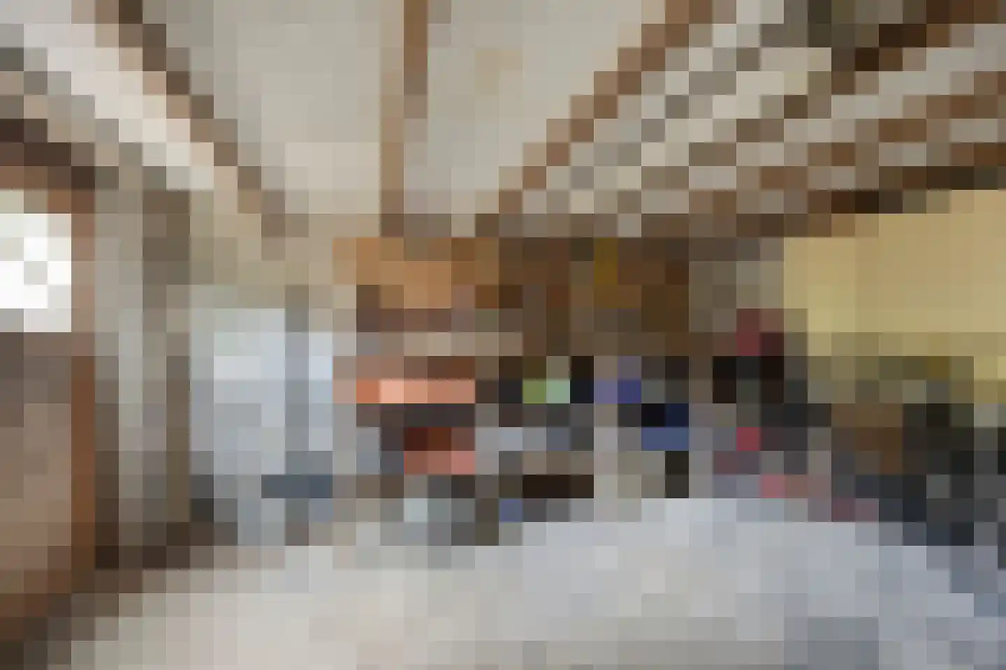 Coehoornsingel 20 Zutphen thumbnail 35