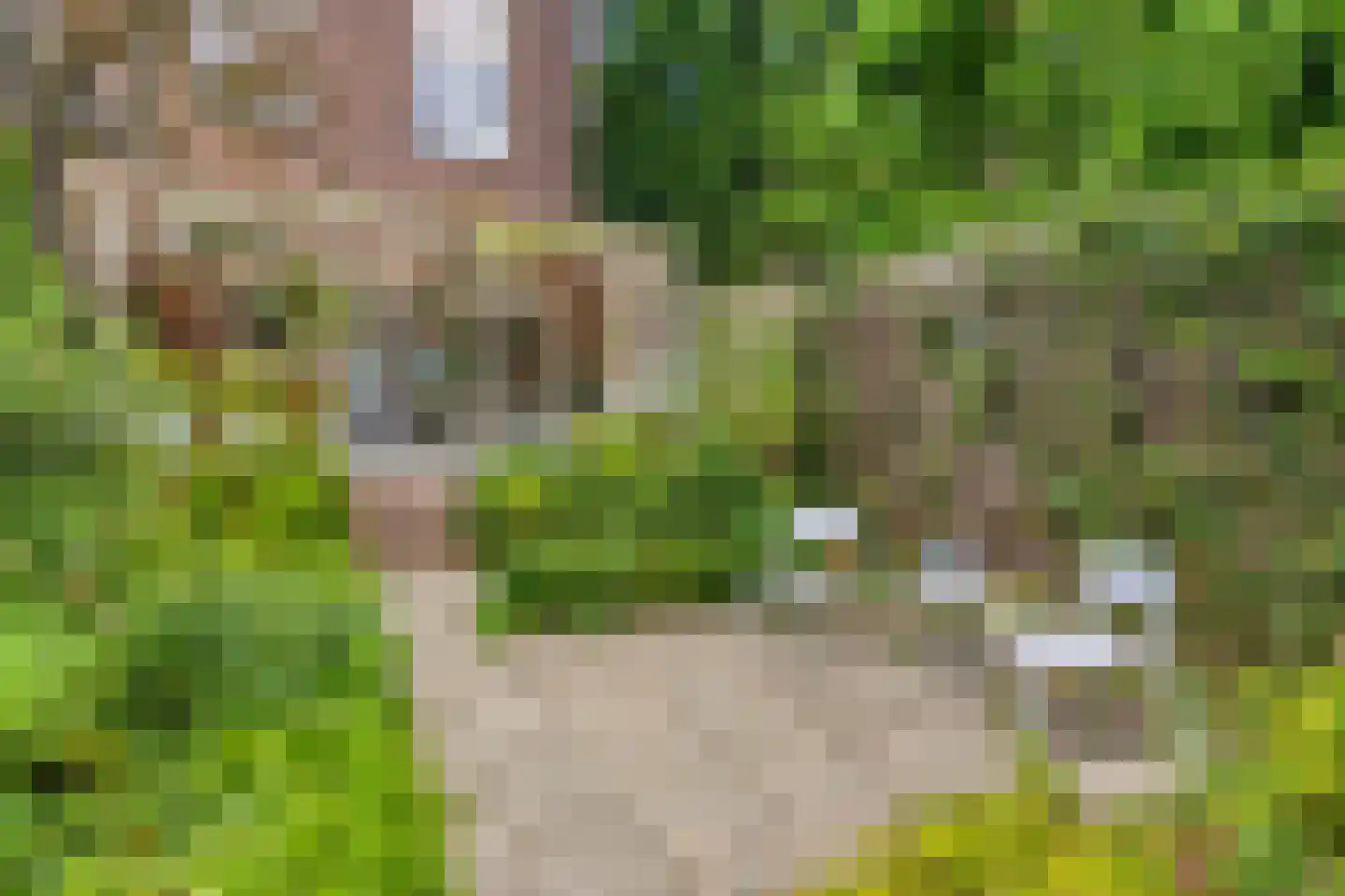 Coehoornsingel 20 Zutphen thumbnail 40