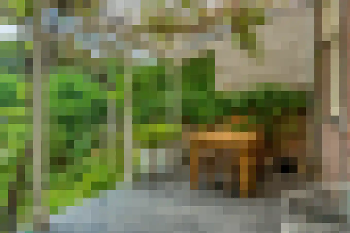 Coehoornsingel 20 Zutphen thumbnail 41