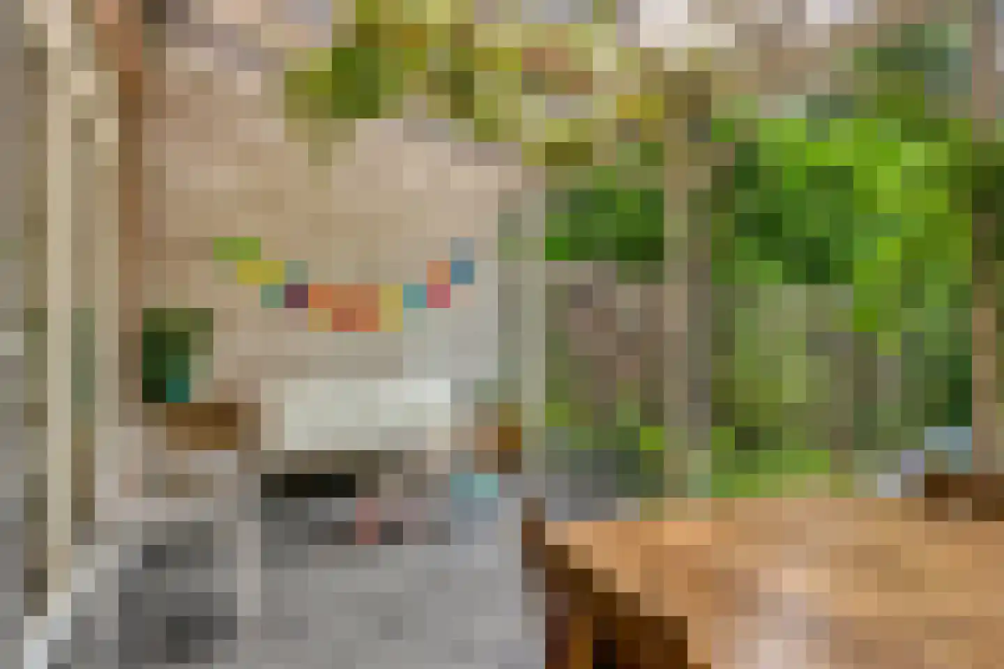 Coehoornsingel 20 Zutphen thumbnail 42