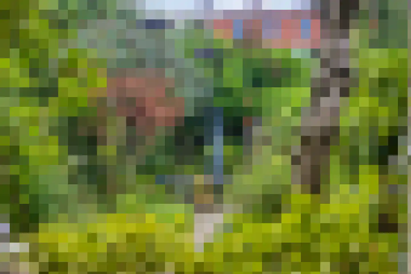 Coehoornsingel 20 Zutphen thumbnail 43