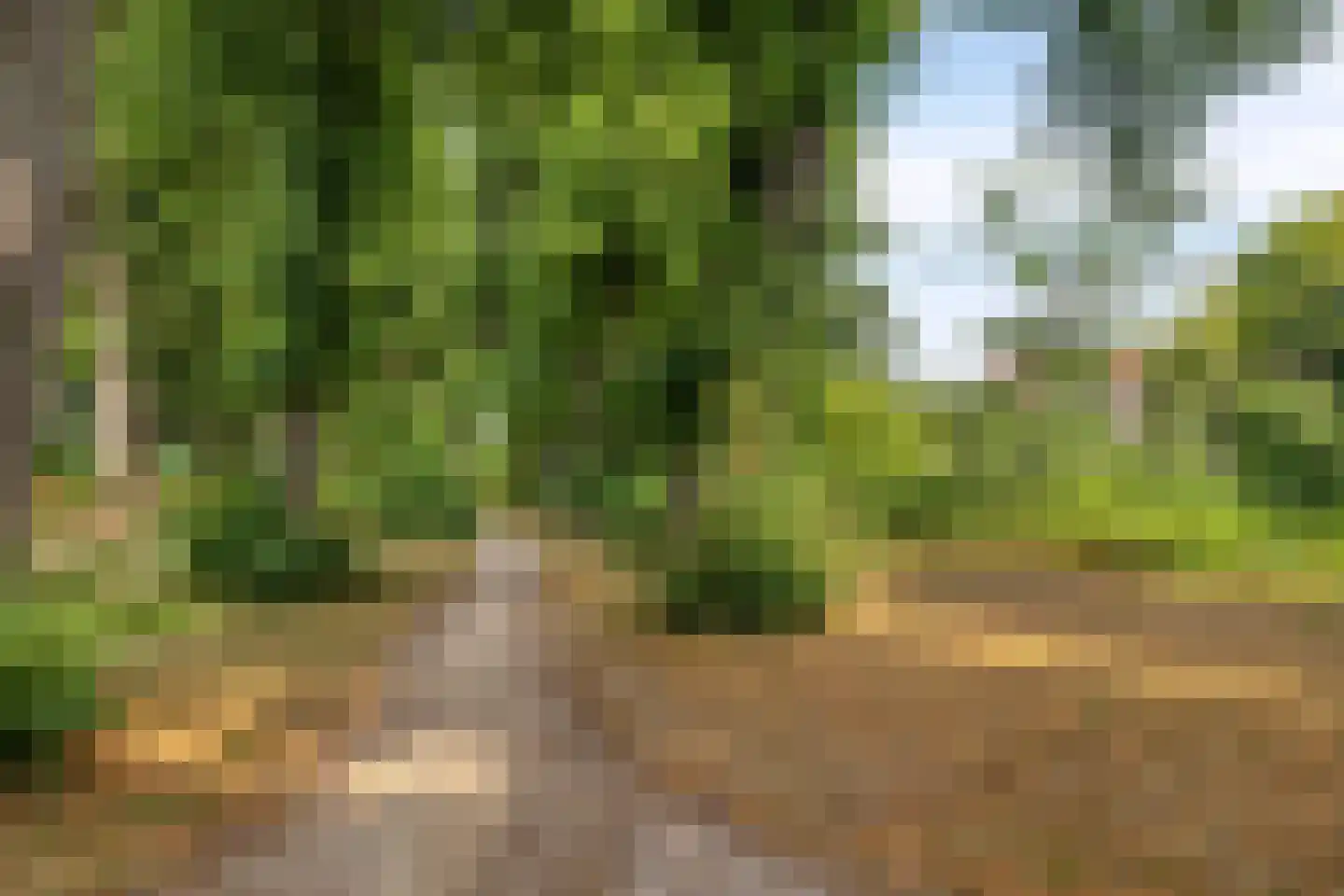 Coehoornsingel 20 Zutphen thumbnail 46