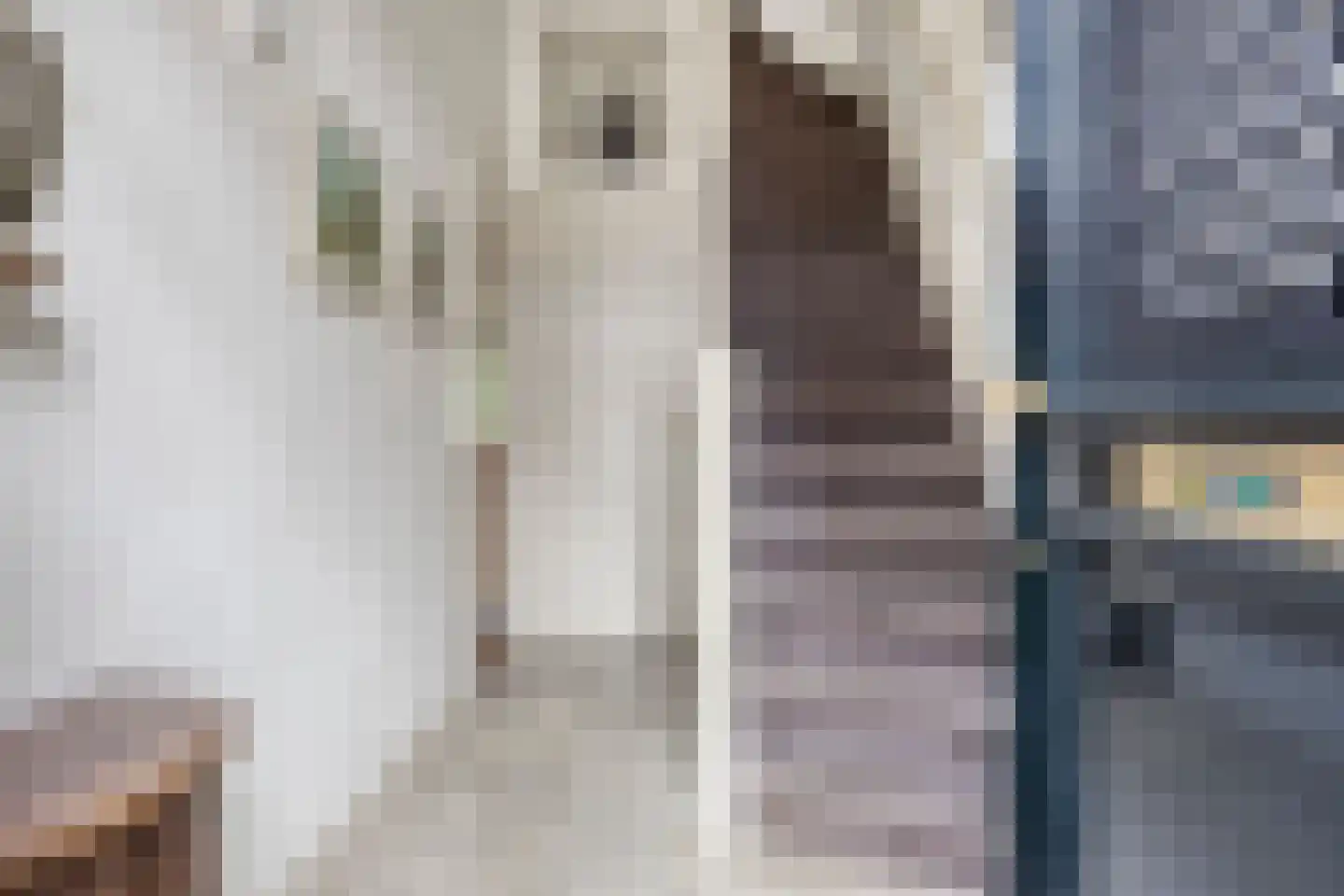 Coehoornsingel 20 Zutphen thumbnail 5