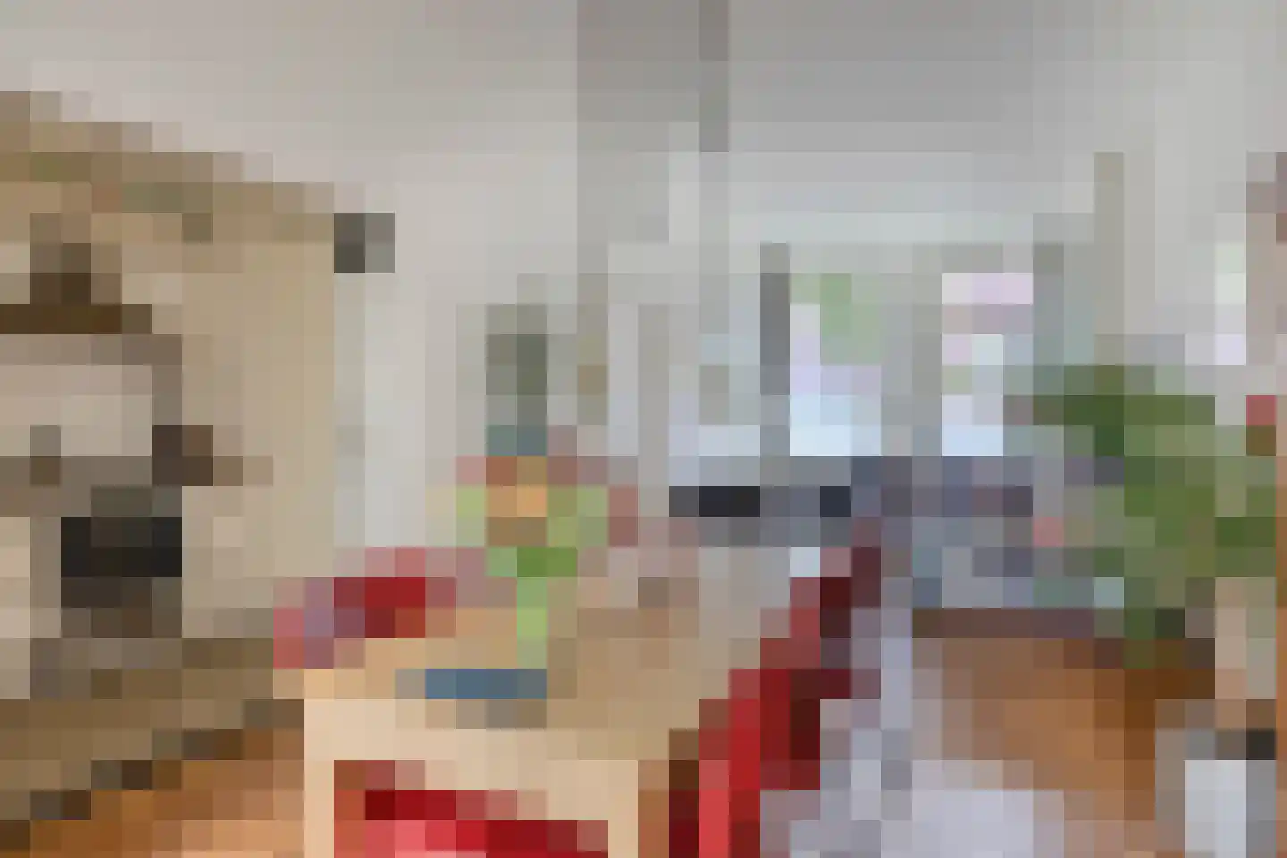 Coehoornsingel 20 Zutphen thumbnail 8