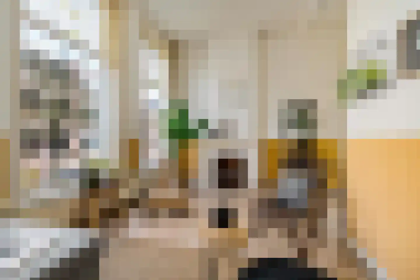 Coehoornsingel 24 a Groningen thumbnail 11