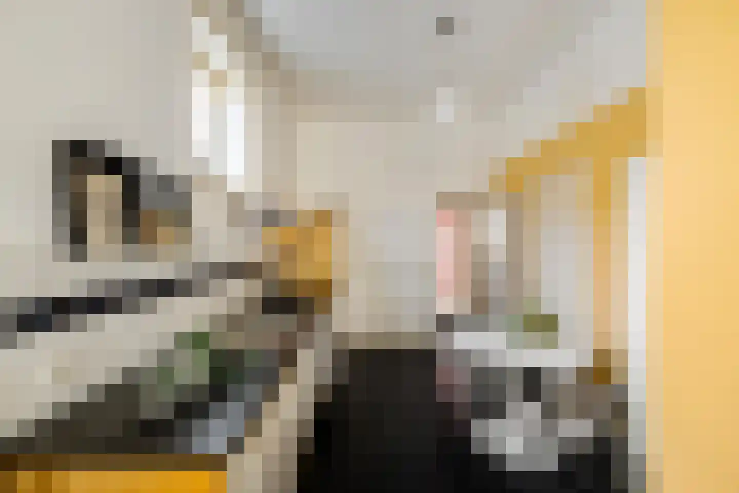 Coehoornsingel 24 a Groningen thumbnail 16