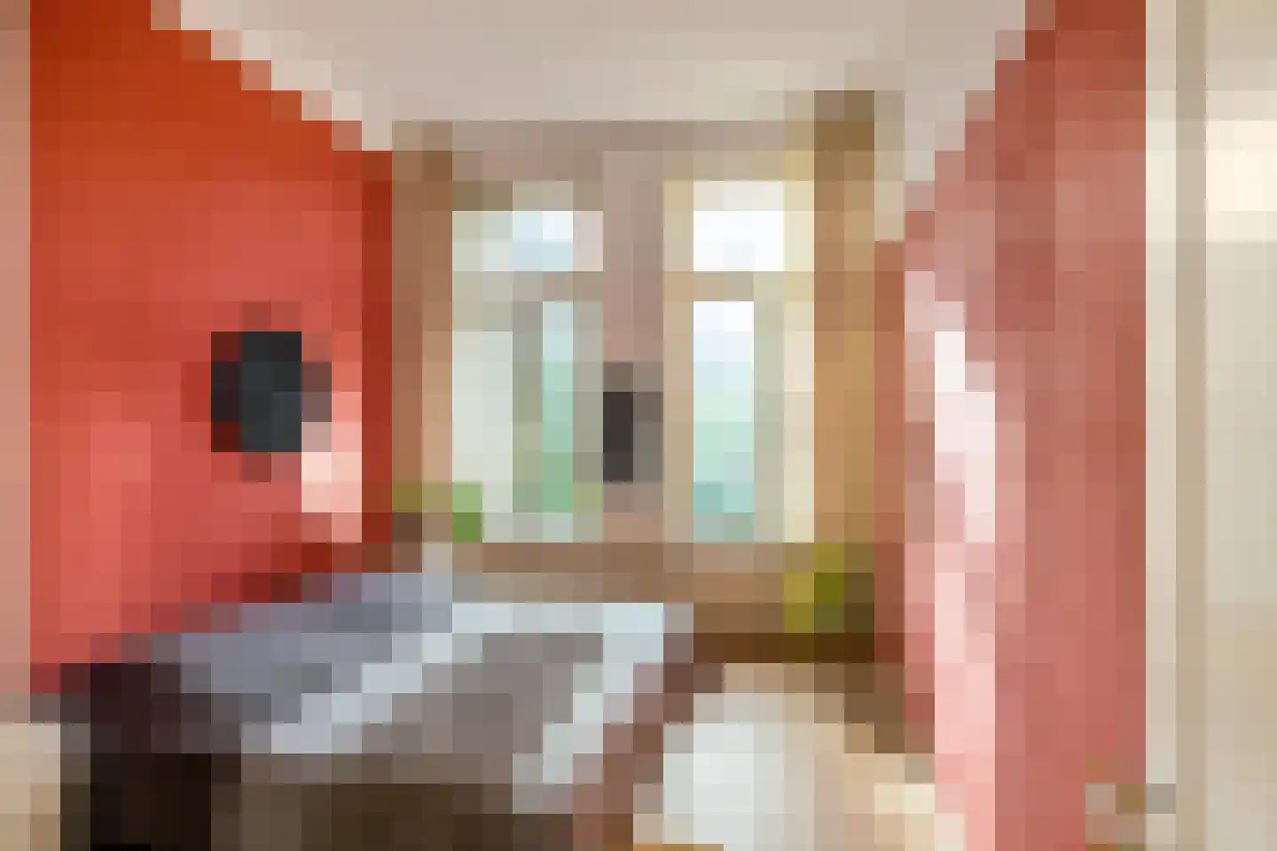 Coehoornsingel 24 a Groningen thumbnail 21