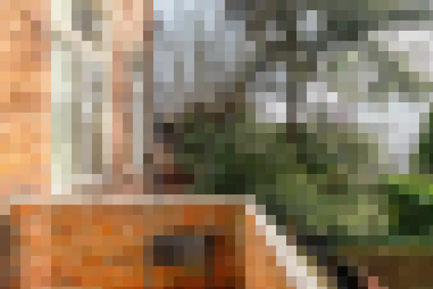 Coehoornsingel 24 a Groningen thumbnail 28