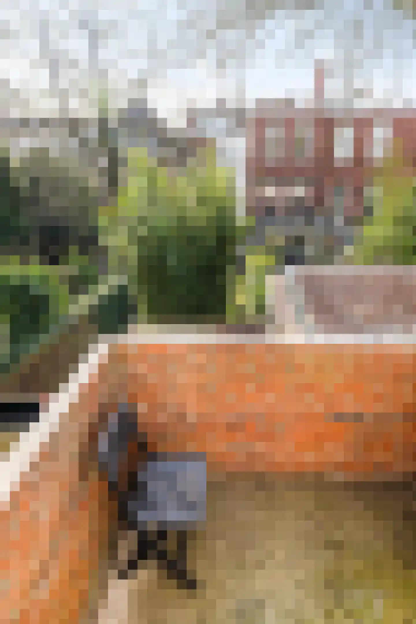Coehoornsingel 24 a Groningen thumbnail 4