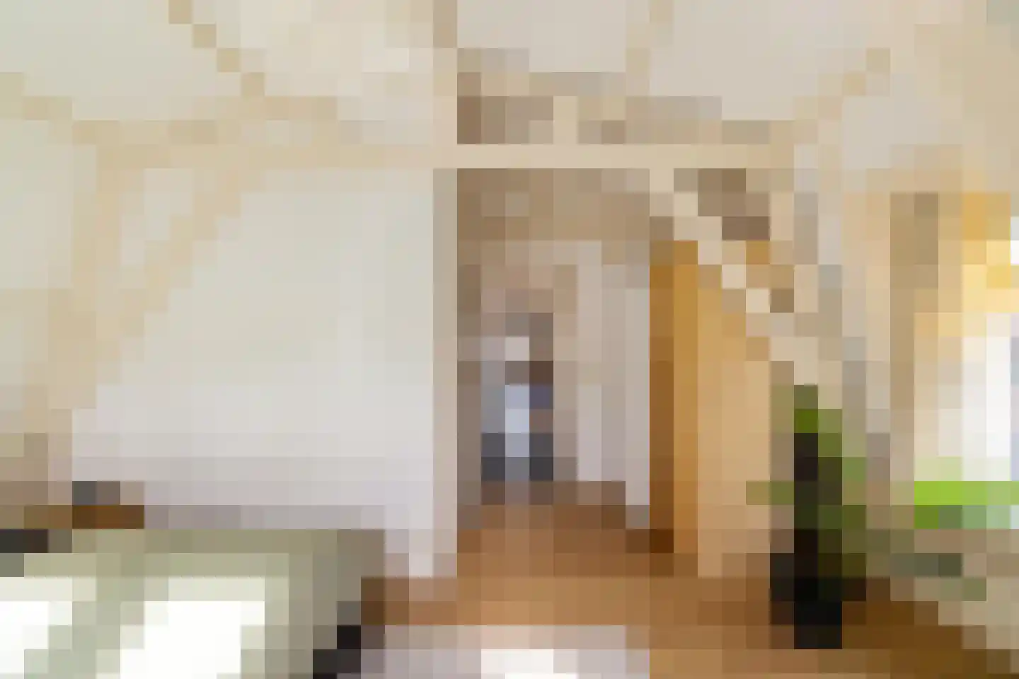 Coehoornsingel 24 b Groningen thumbnail 22