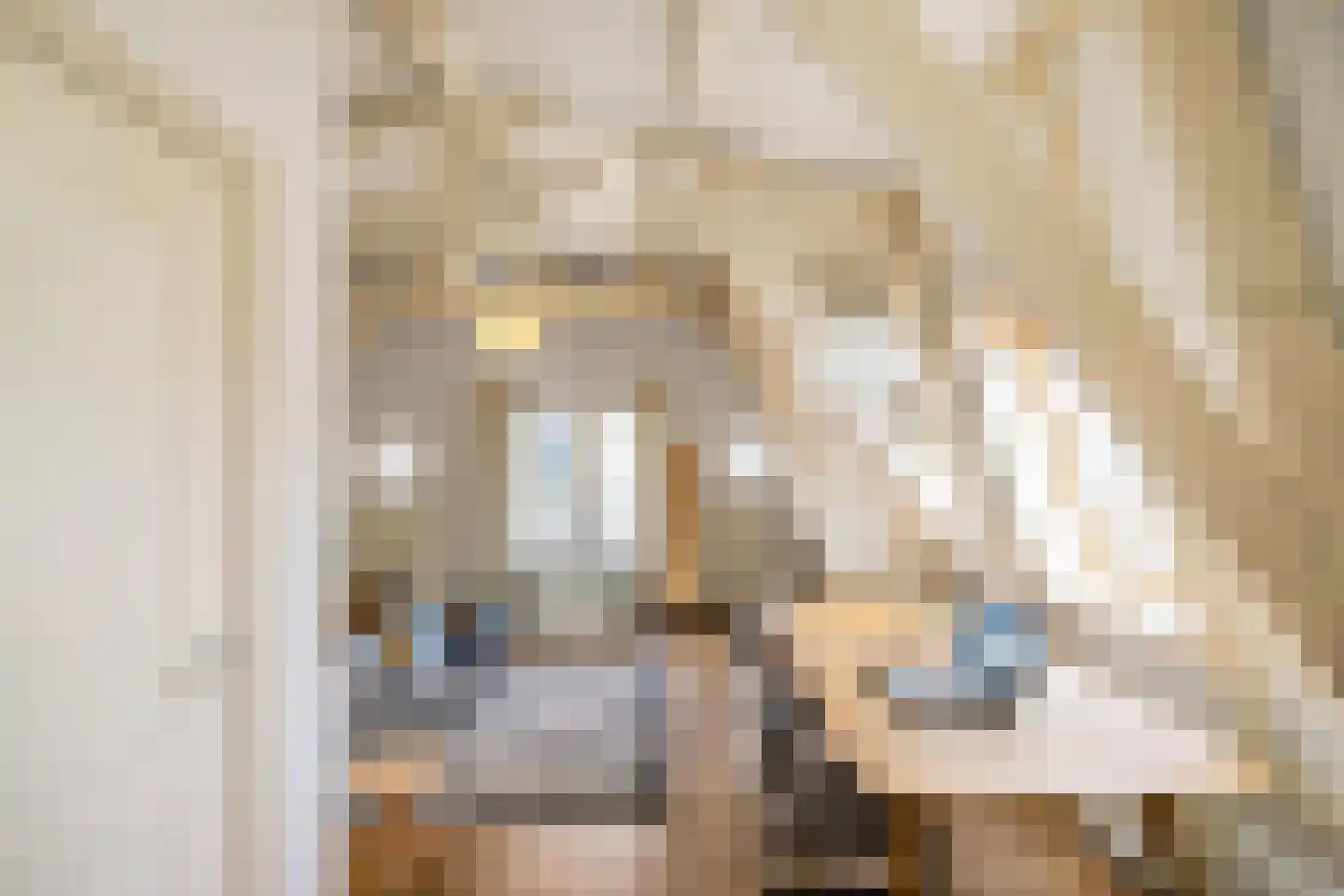 Coehoornsingel 24 b Groningen thumbnail 7