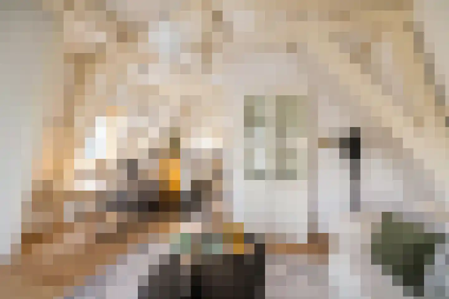 Coehoornsingel 24 b Groningen thumbnail 9