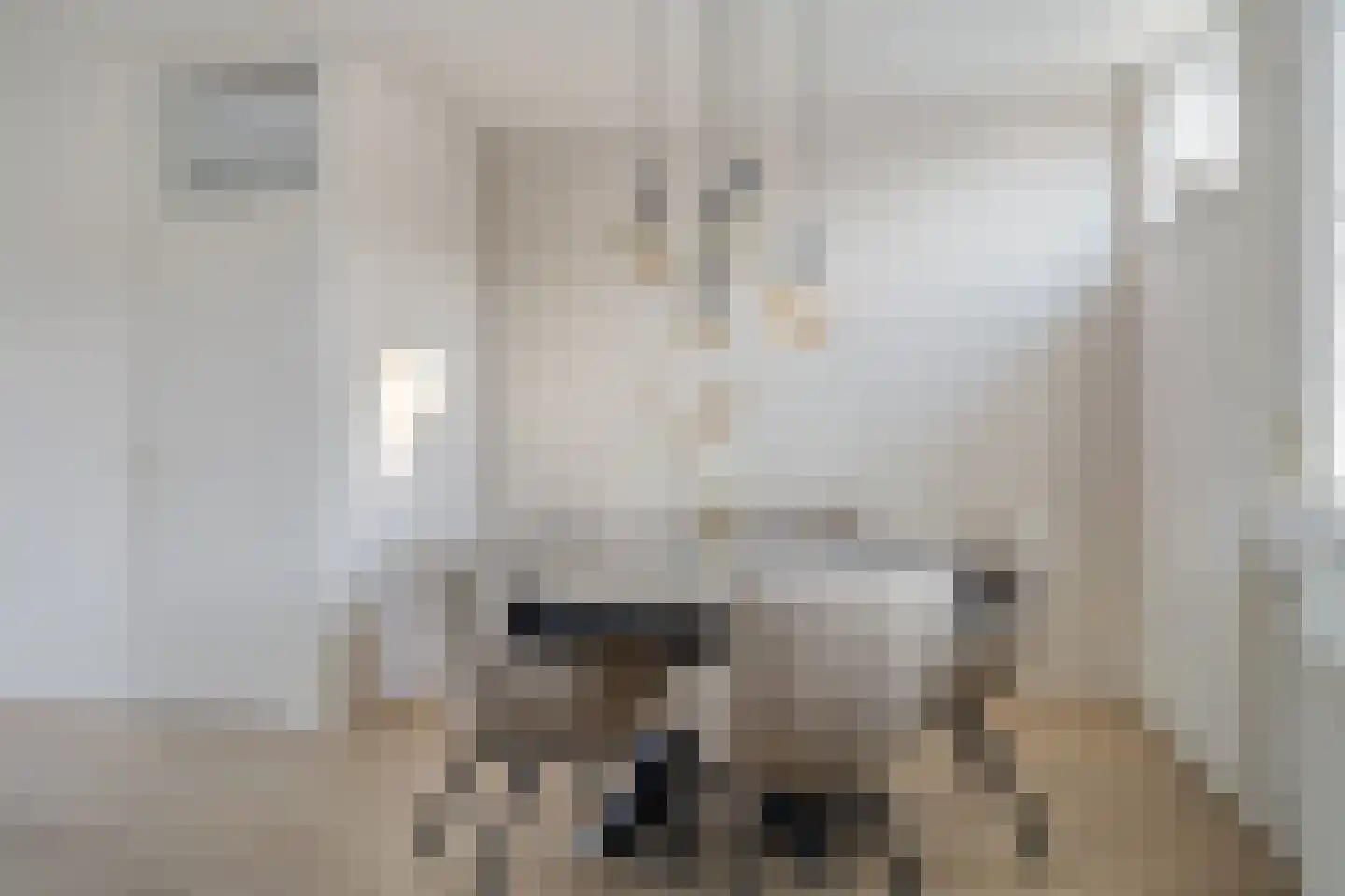 Coehoornsingel 25 Groningen thumbnail 15