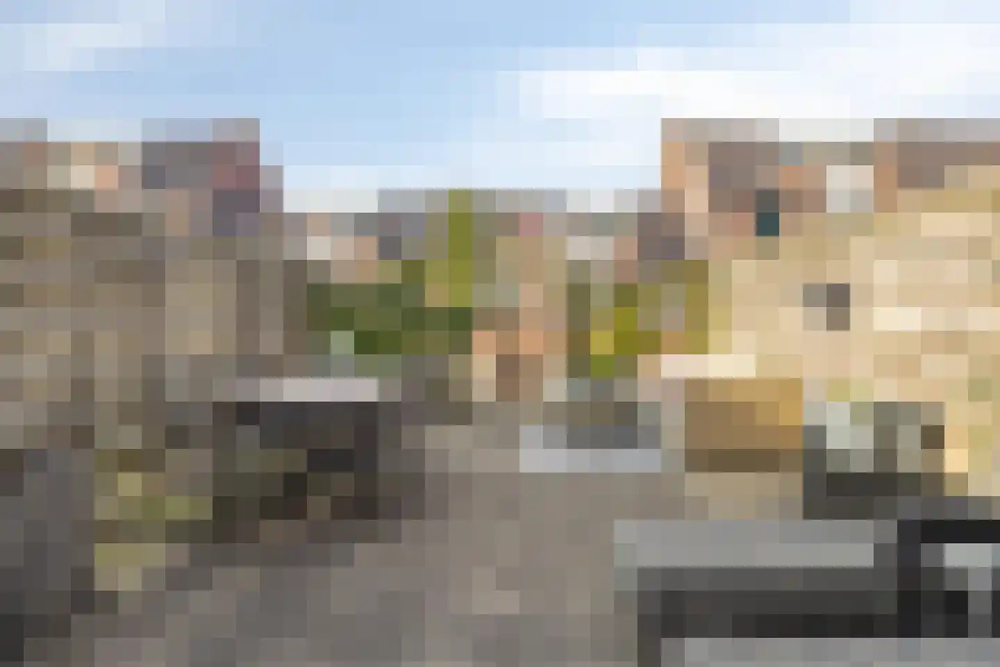 Coehoornsingel 25 Groningen thumbnail 19