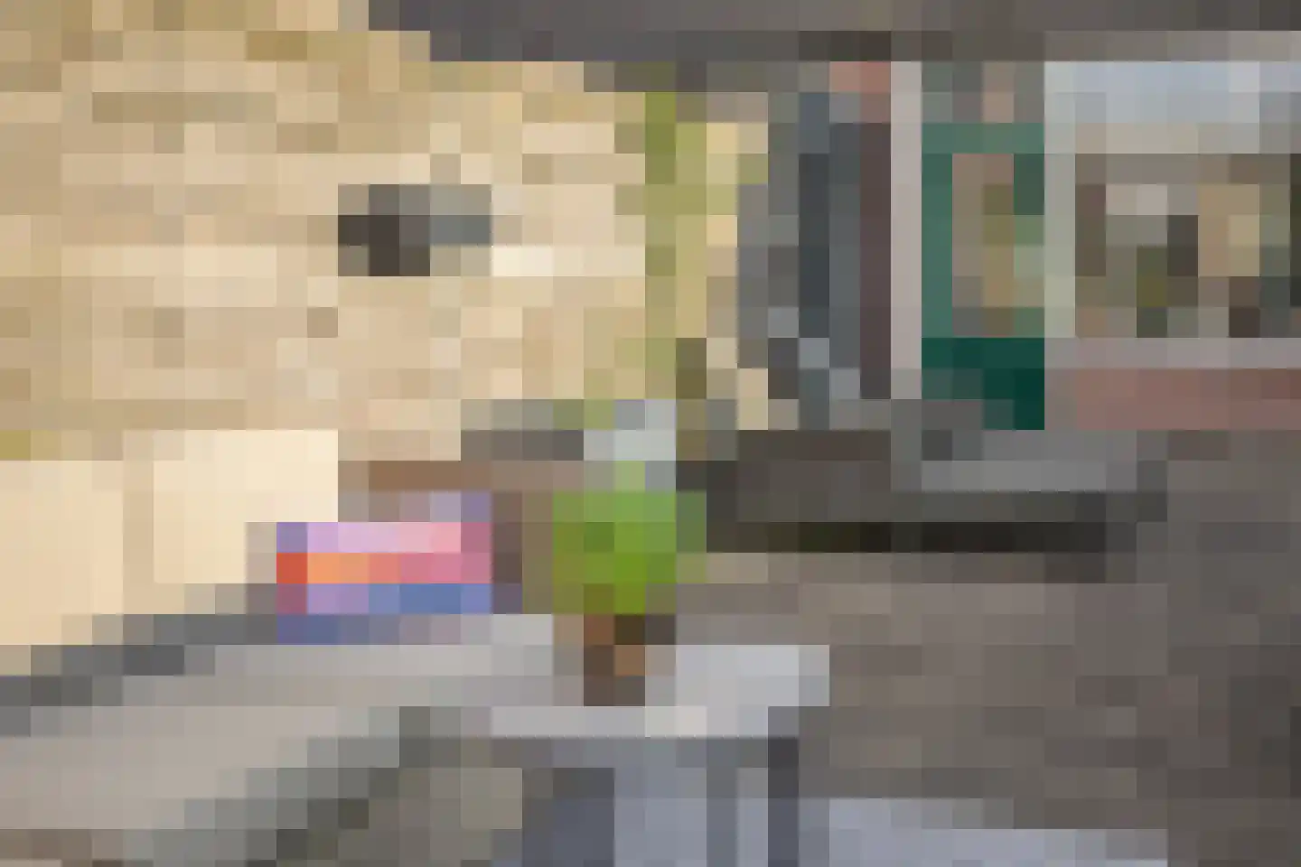 Coehoornsingel 25 Groningen thumbnail 22