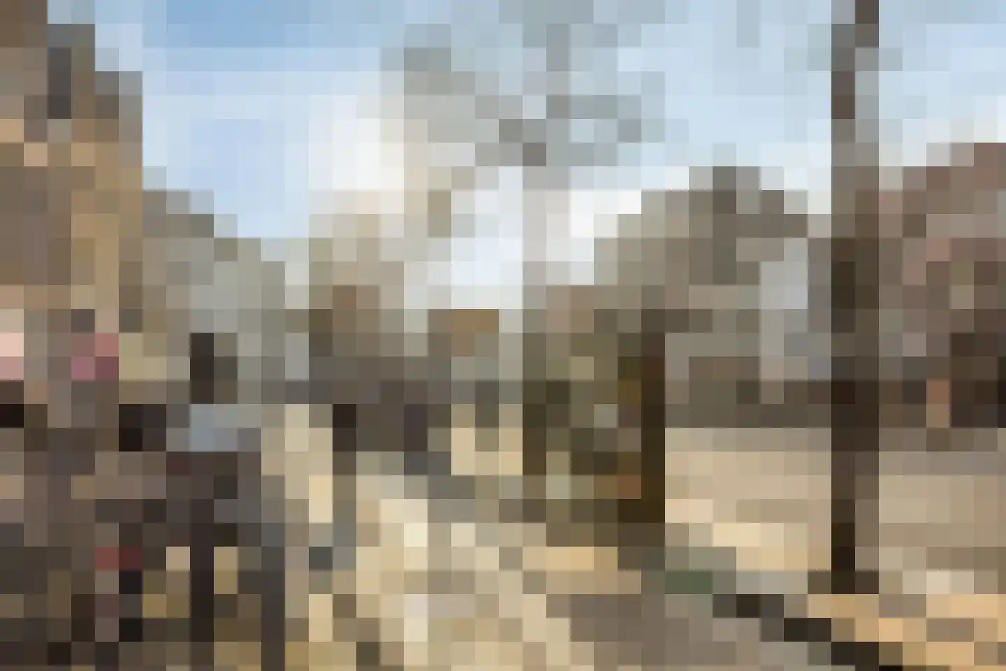 Coehoornsingel 25 Groningen thumbnail 38