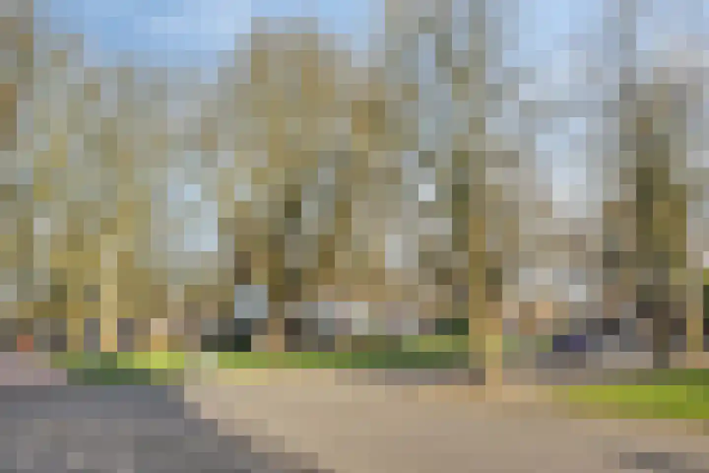 Coehoornsingel 25 Groningen thumbnail 39