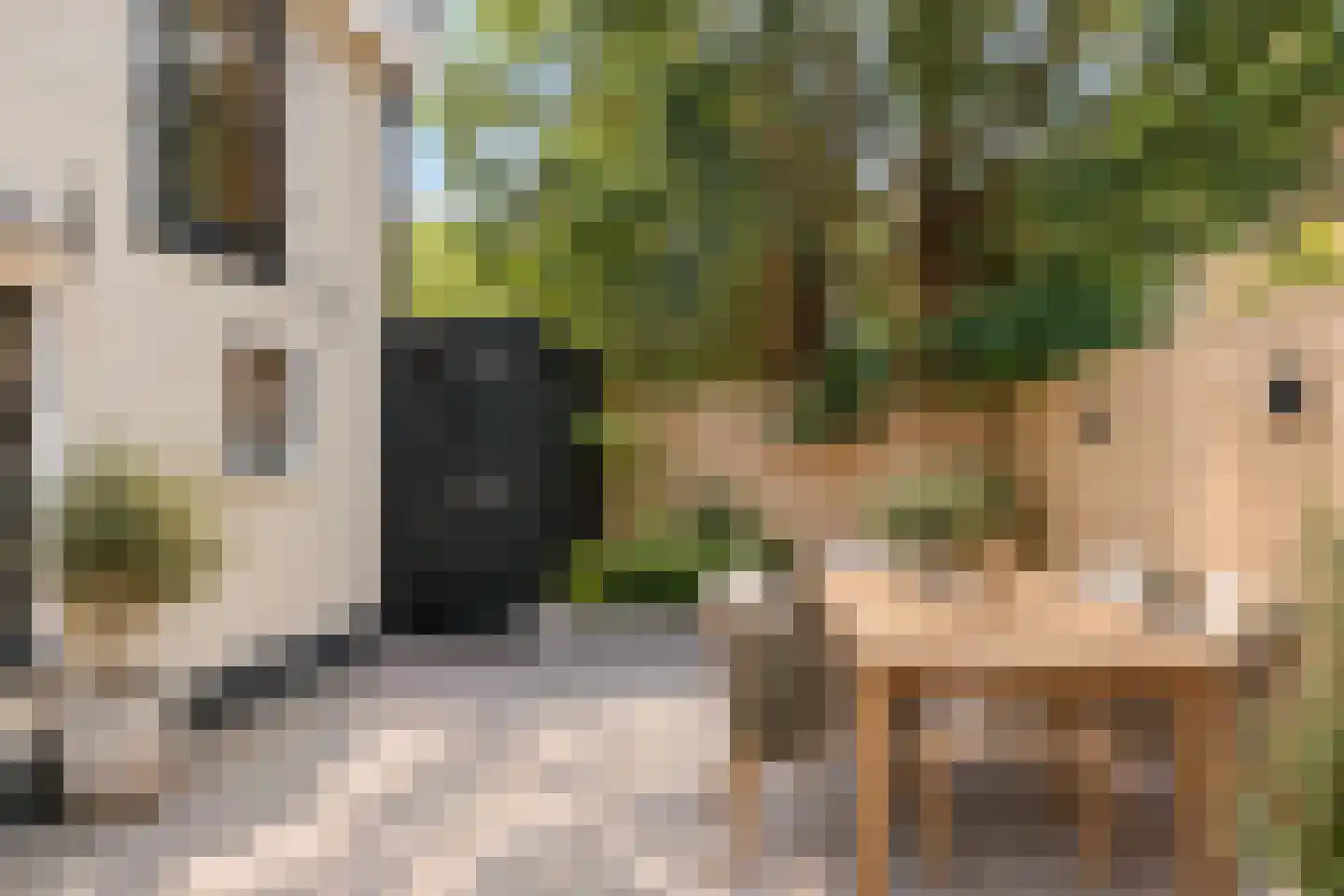 Coehoornsingel 44 Groningen thumbnail 21