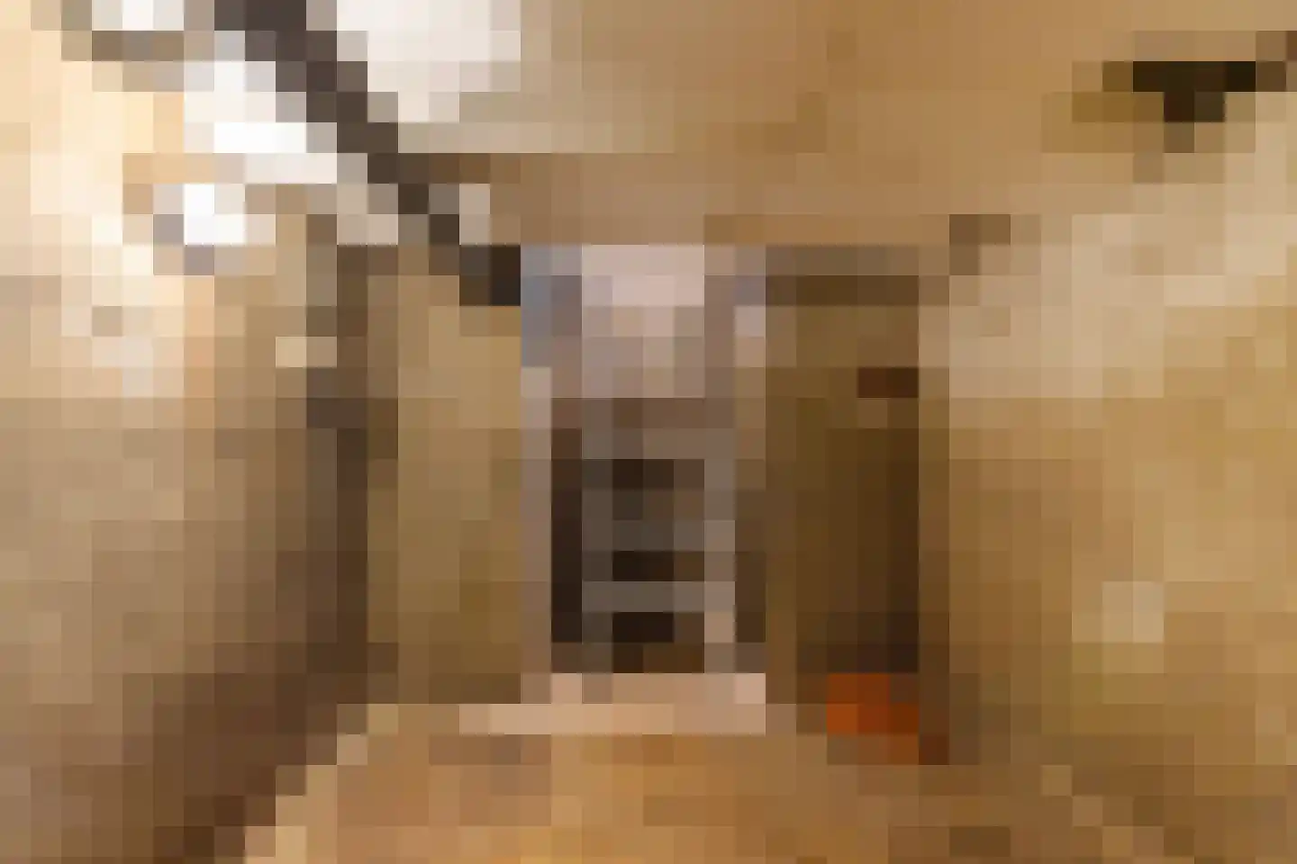 Coehoornsingel 44 Groningen thumbnail 32