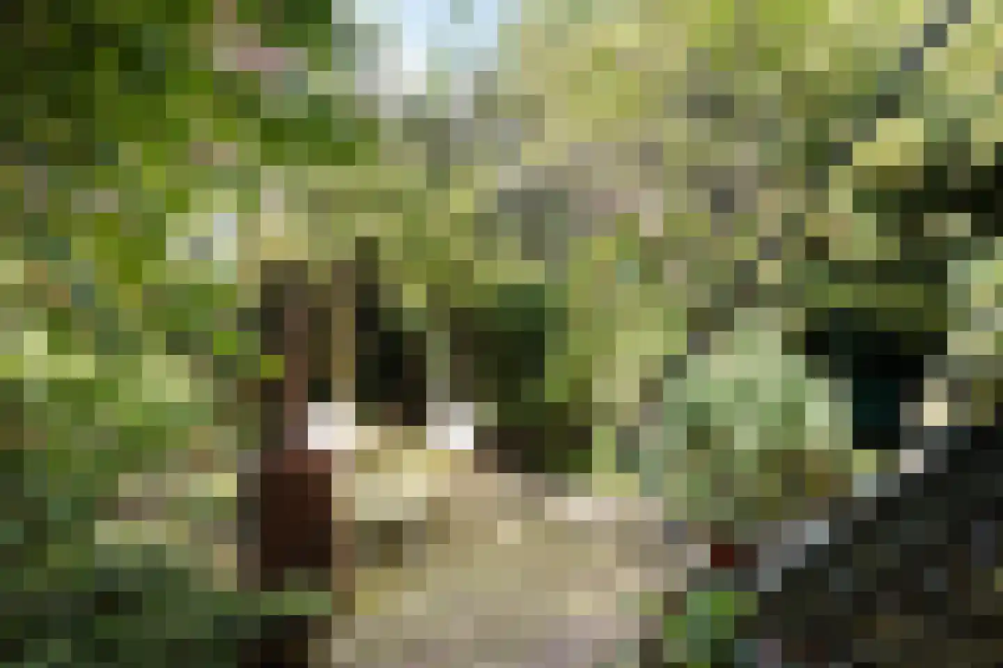 Coehoornsingel 60 Zutphen thumbnail 39