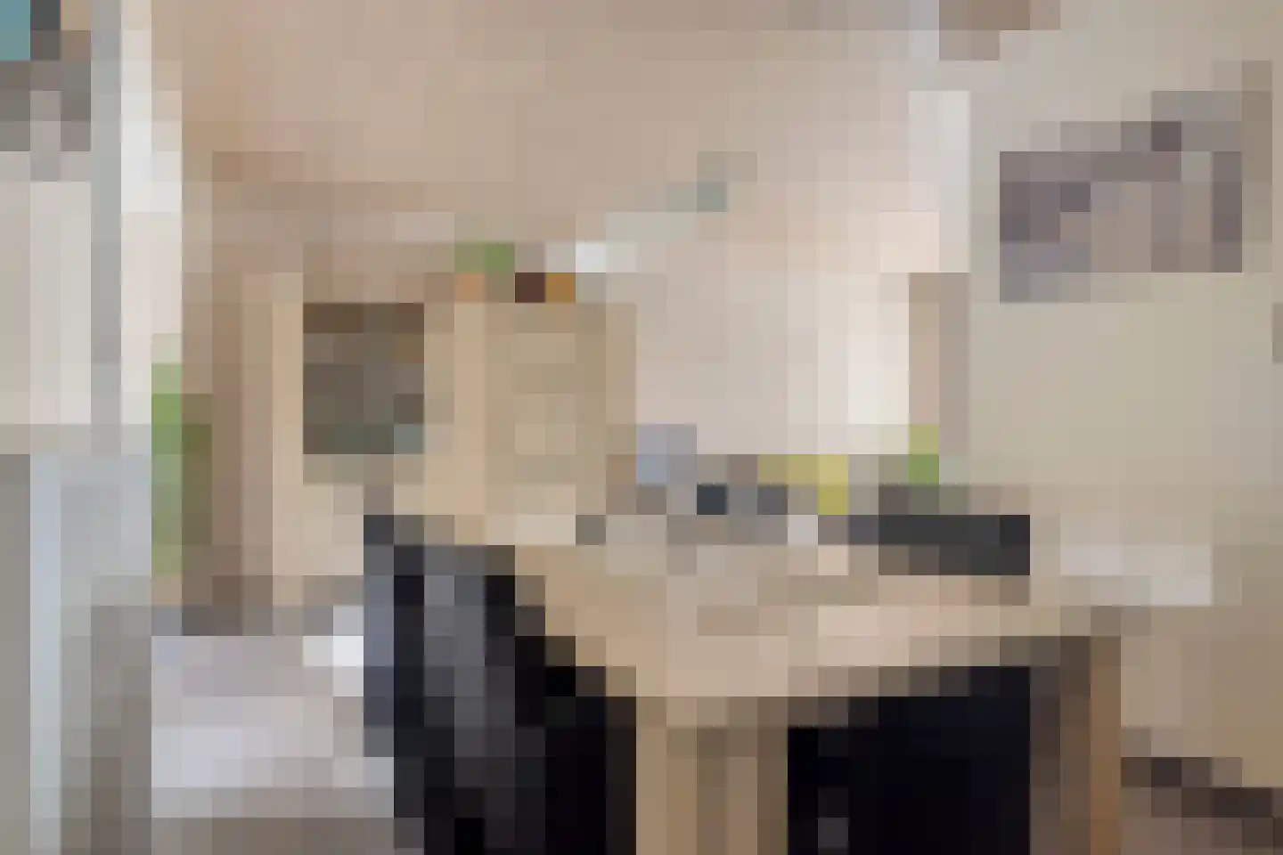 Coehoornstraat 12 Sas van Gent thumbnail 10