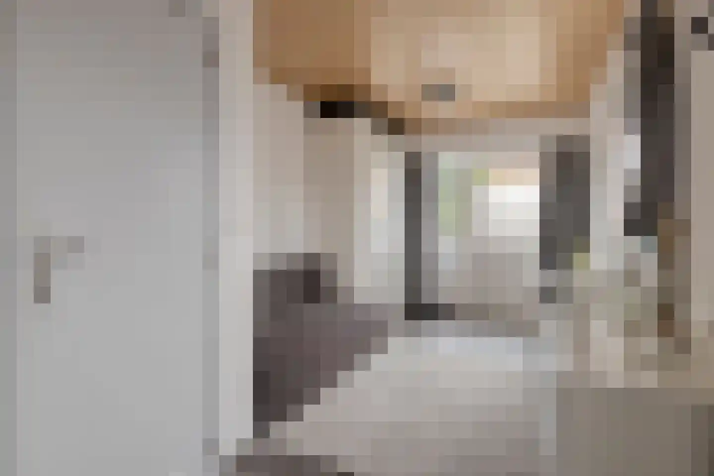 Coehoornstraat 12 Sas van Gent thumbnail 14