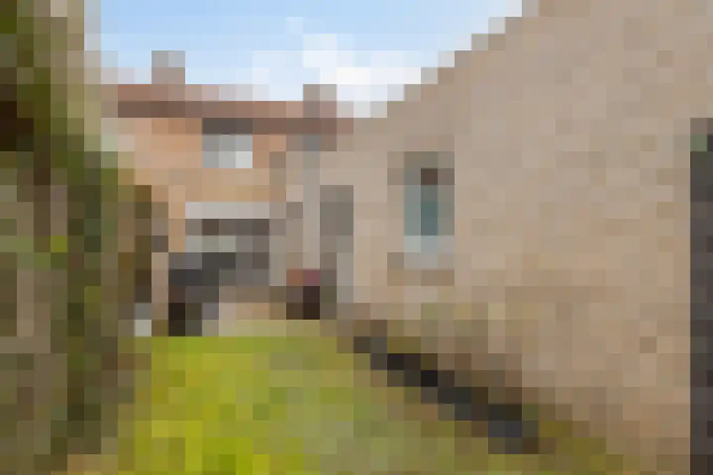 Coehoornstraat 12 Sas van Gent thumbnail 25