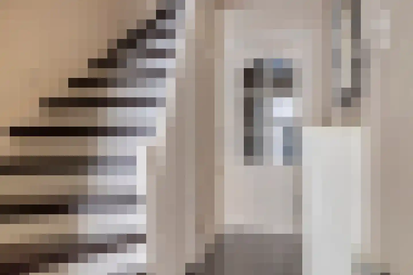Coehoornstraat 12 Sas van Gent thumbnail 5
