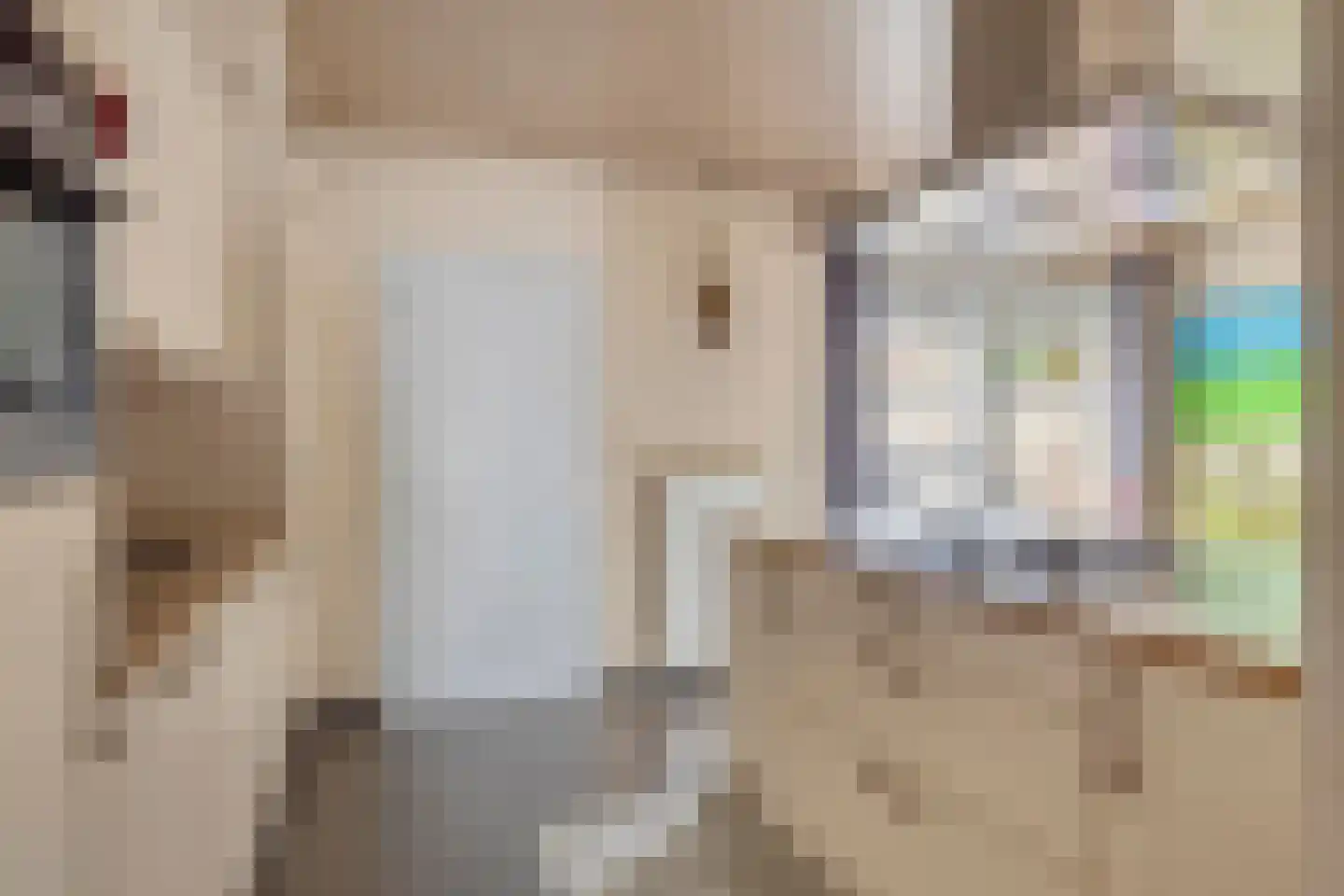 Coehoornstraat 12 Sas van Gent thumbnail 7