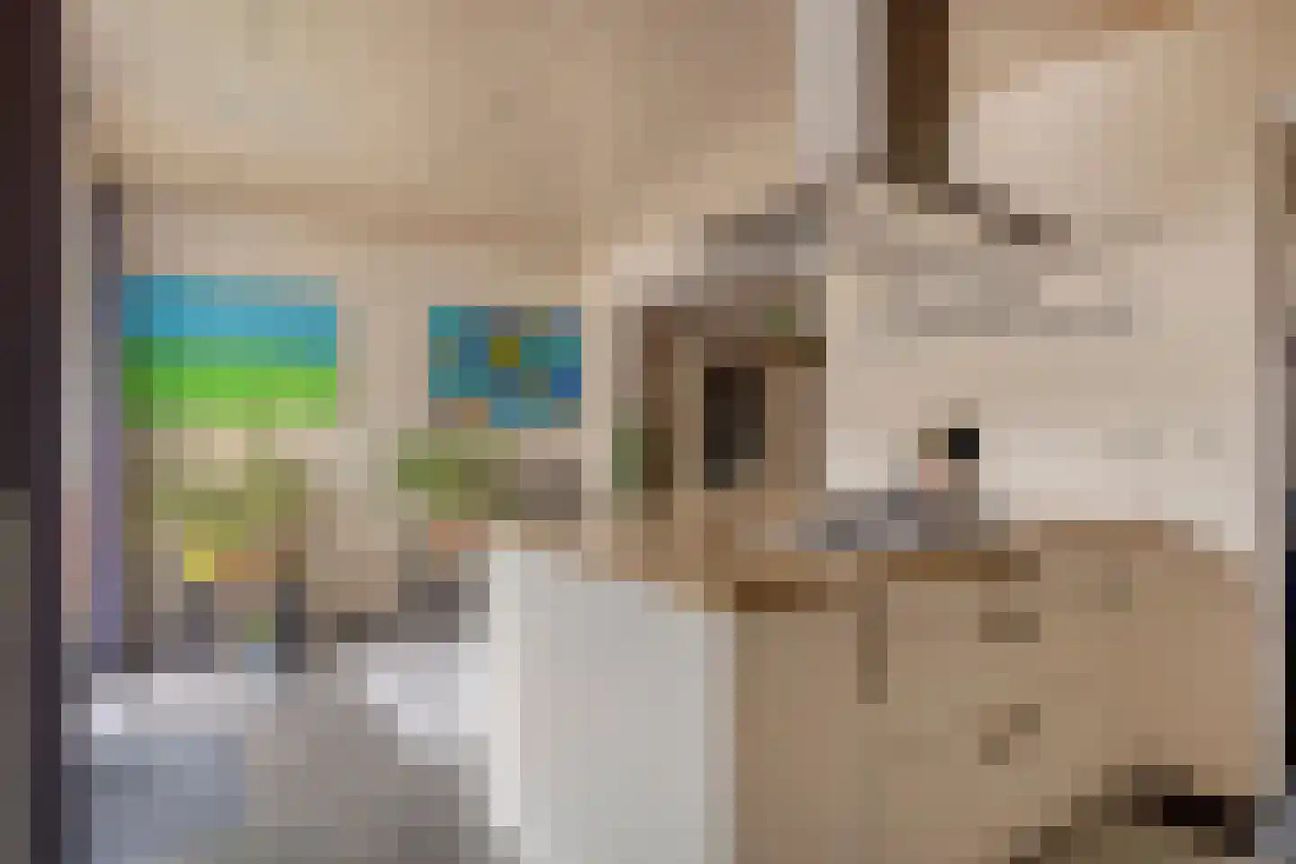 Coehoornstraat 12 Sas van Gent thumbnail 8