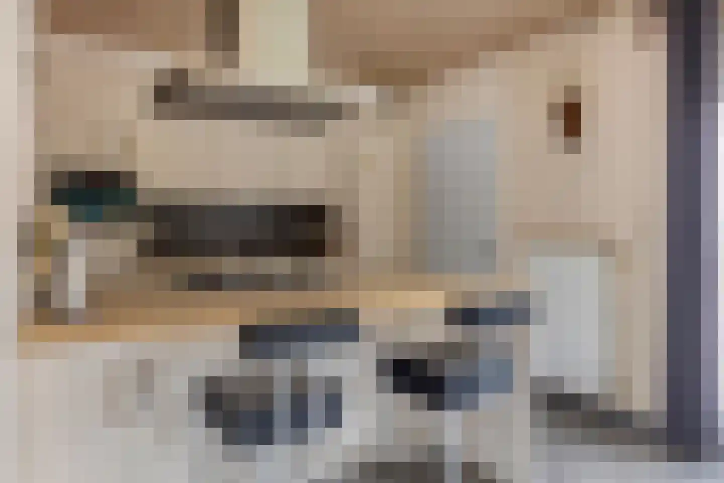 Coehoornstraat 12 Sas van Gent thumbnail 9