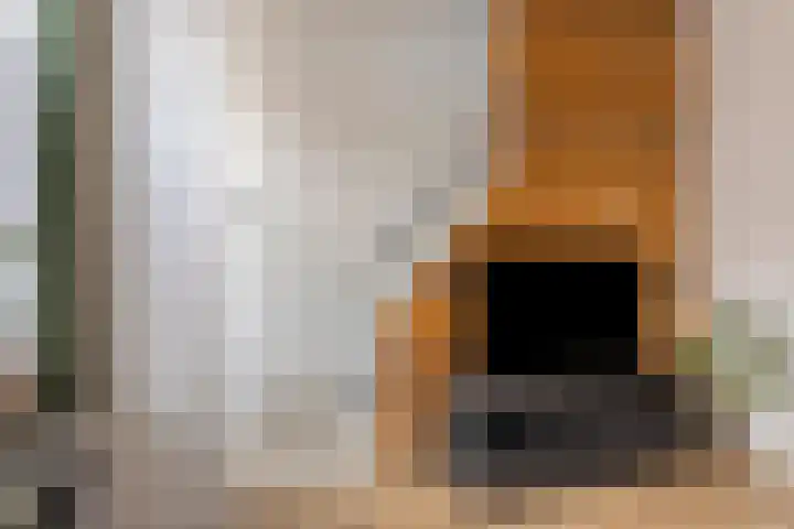 Coehoornstraat 16 Bergen op Zoom thumbnail 10