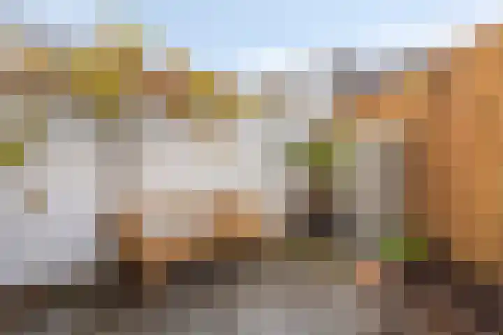 Coehoornstraat 16 Bergen op Zoom thumbnail 19