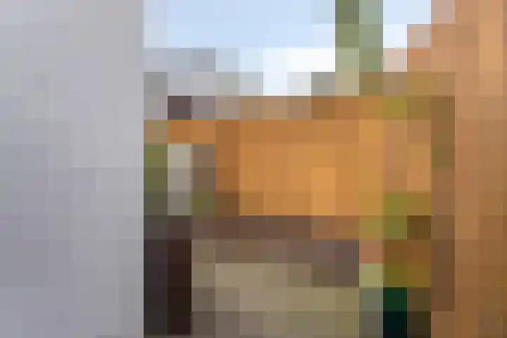 Coehoornstraat 16 Bergen op Zoom thumbnail 21