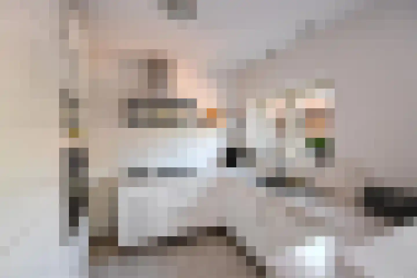 Coehoornstraat 23 Hilversum thumbnail 7