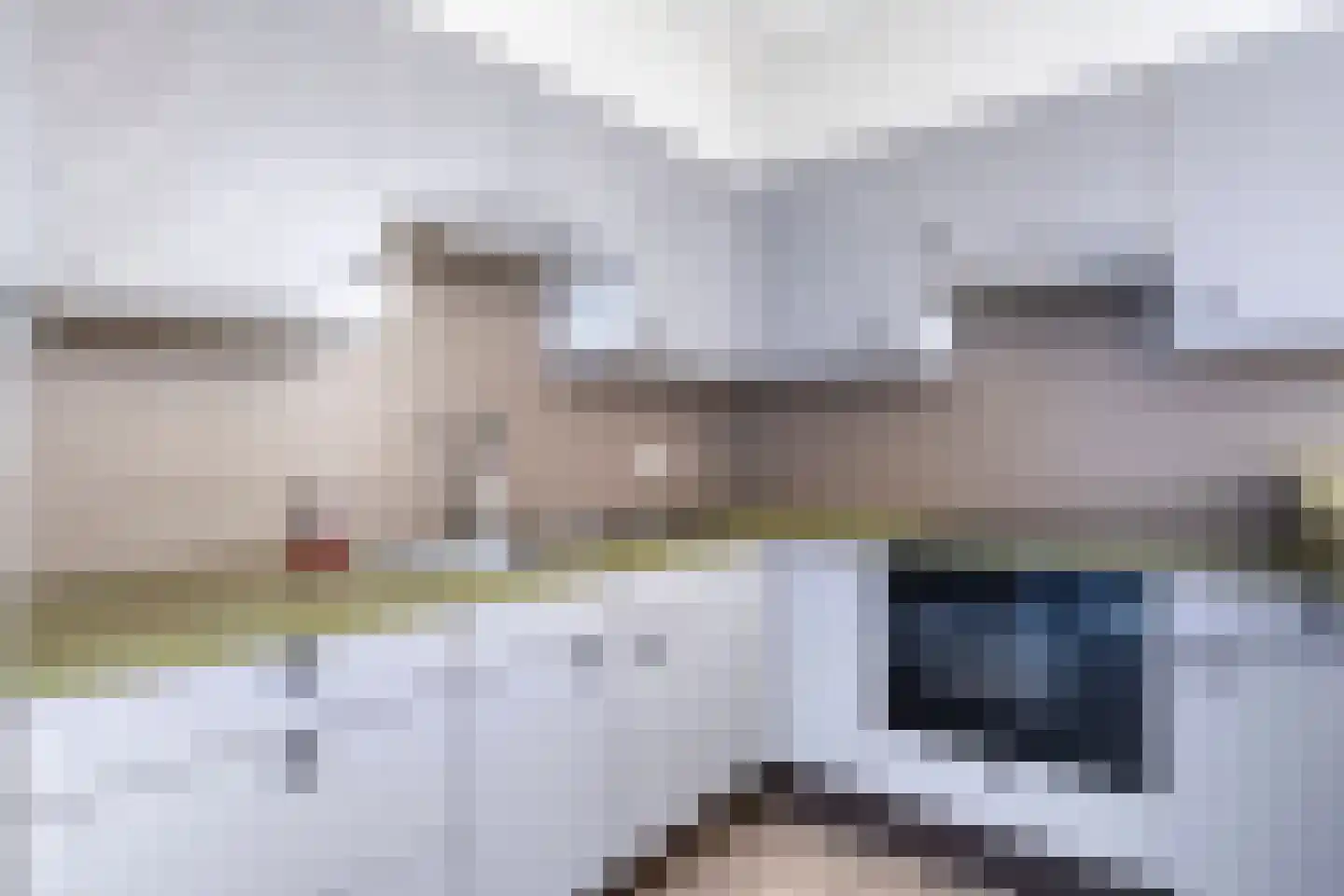 Coehoornstraat 3 Sas van Gent thumbnail 12