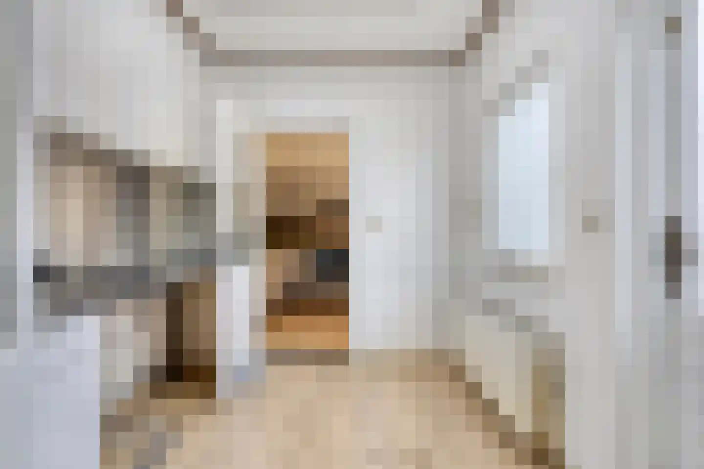 Coehoornstraat 3 Sas van Gent thumbnail 14