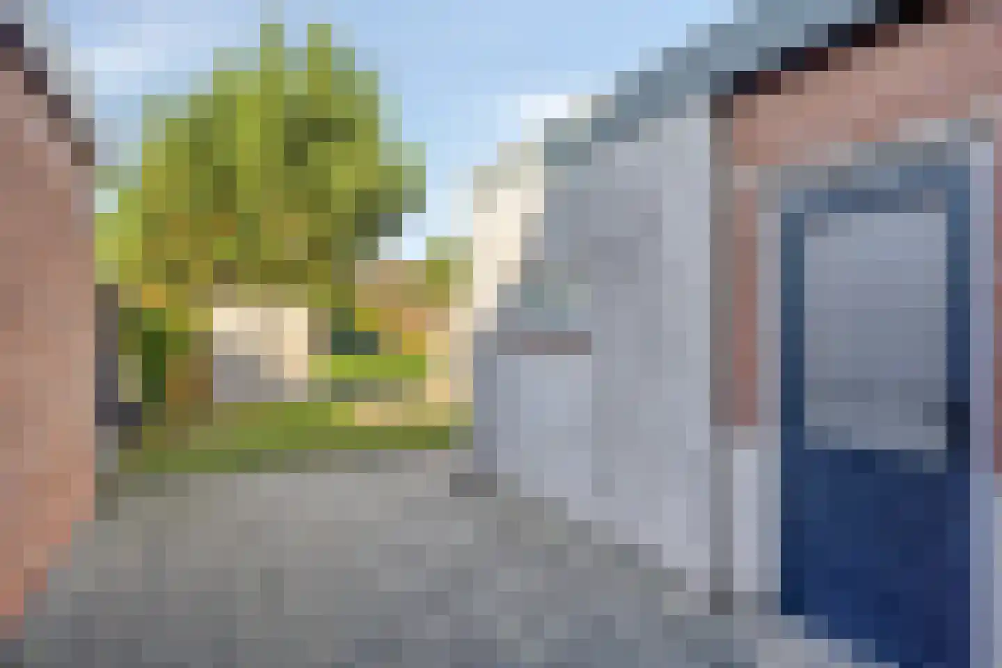 Coehoornstraat 3 Sas van Gent thumbnail 24