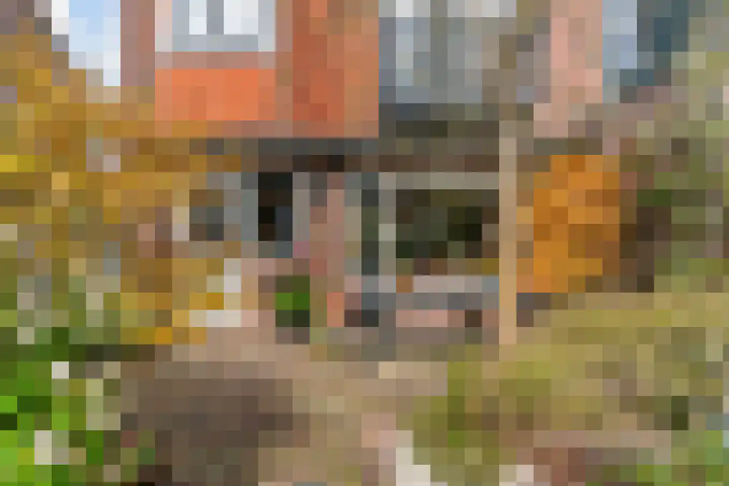 Coehoornstraat 30 Hilversum thumbnail 36