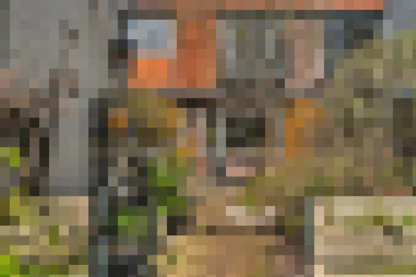 Coehoornstraat 30 Hilversum thumbnail 37