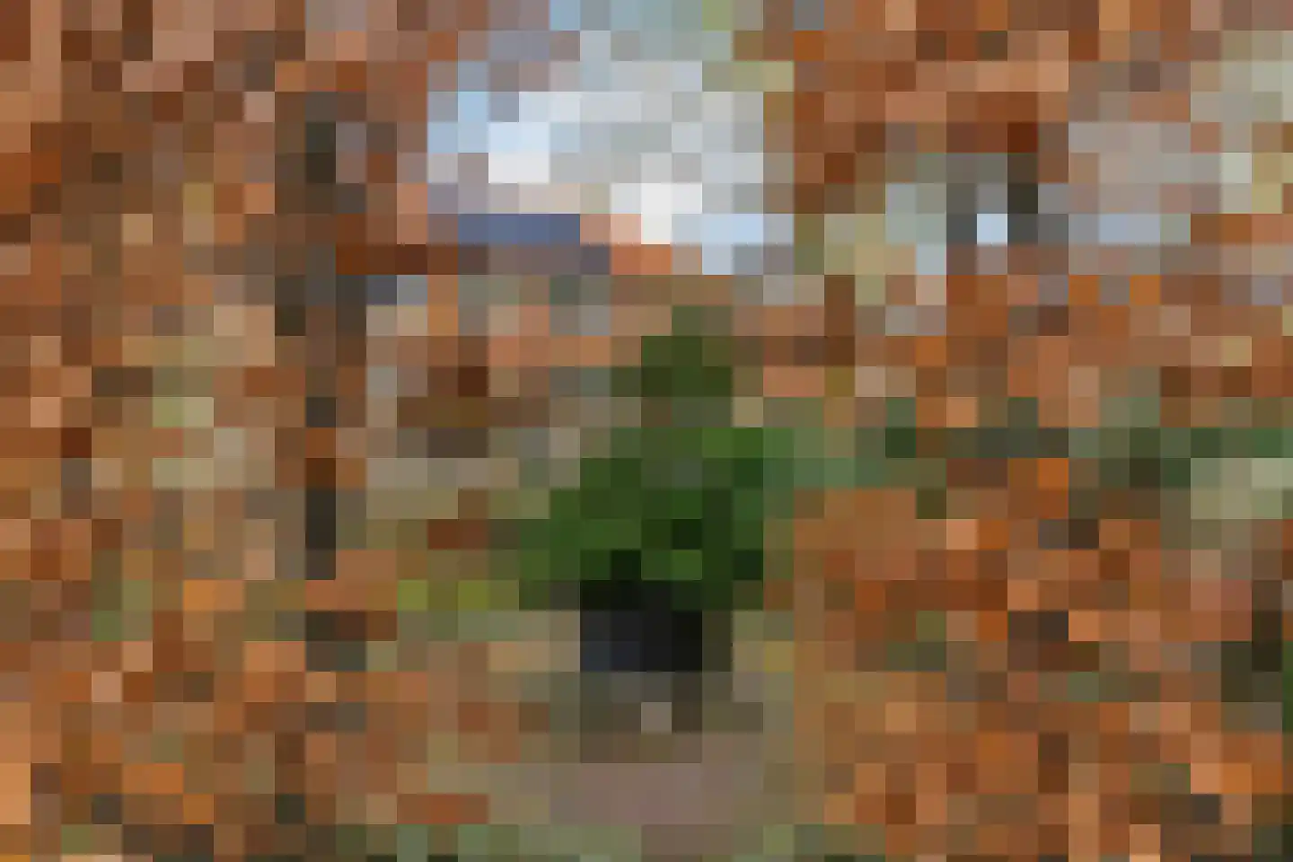 Coehoornstraat 30 Hilversum thumbnail 43