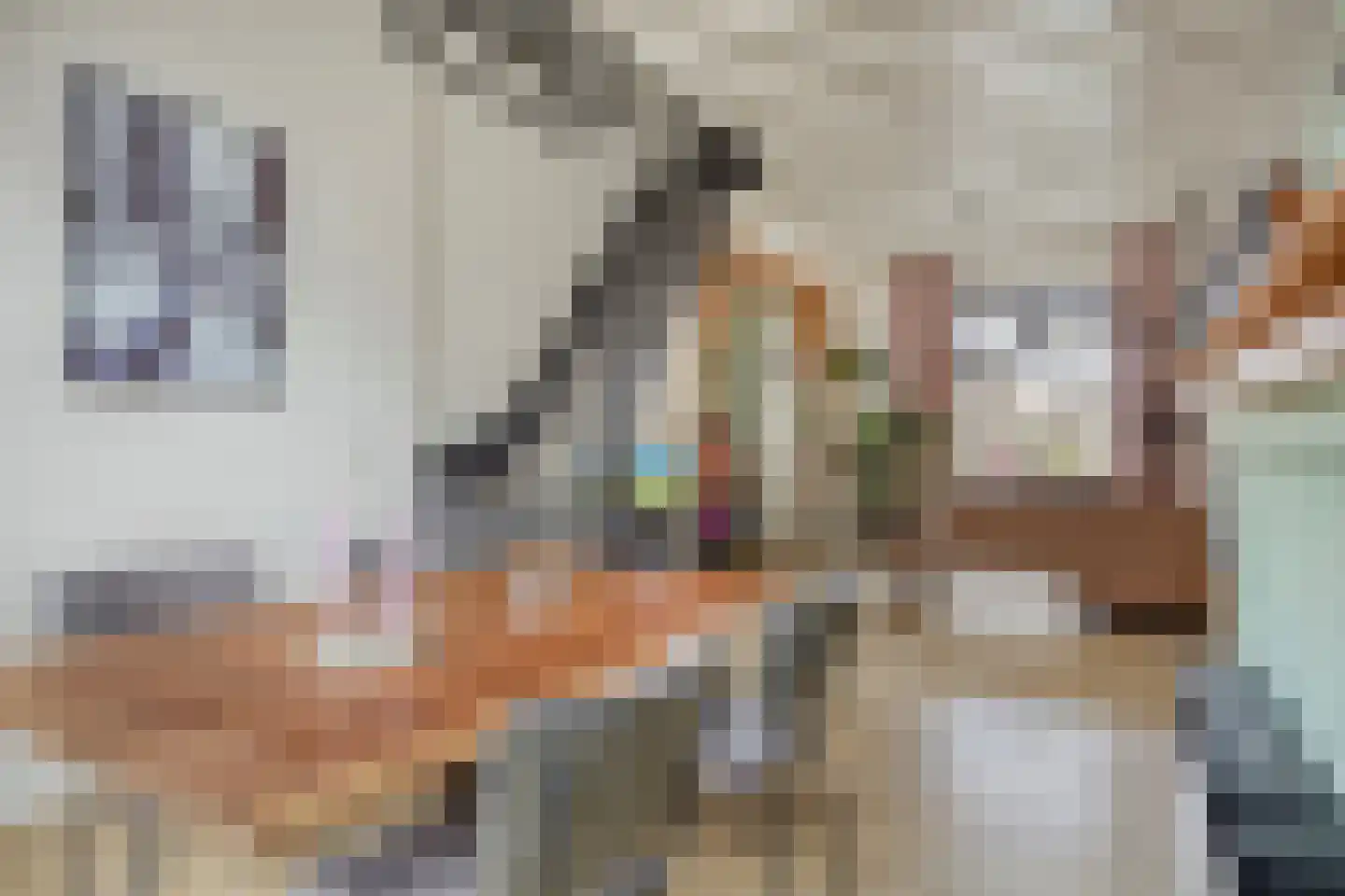 Coehoornstraat 49 Bergen op Zoom thumbnail 12