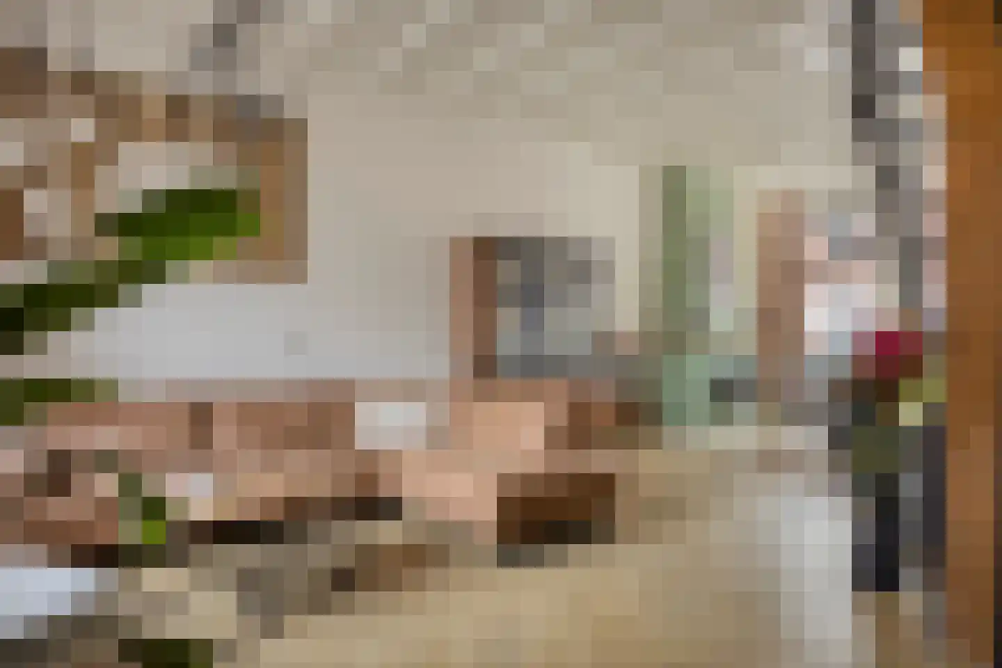 Coehoornstraat 49 Bergen op Zoom thumbnail 15