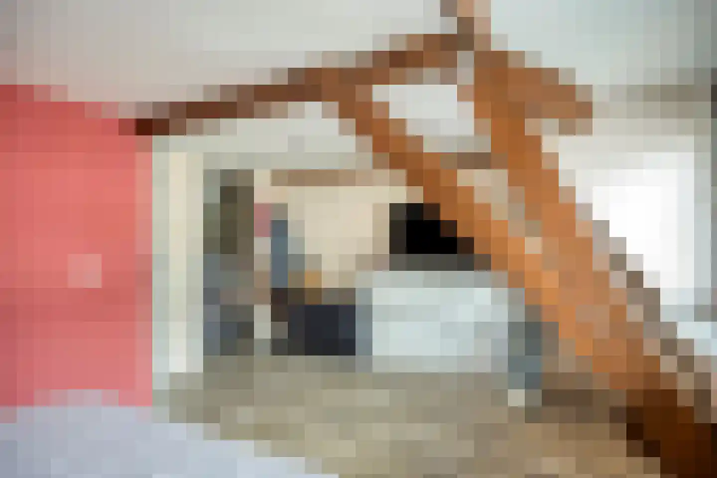 Coehoornstraat 49 Bergen op Zoom thumbnail 22