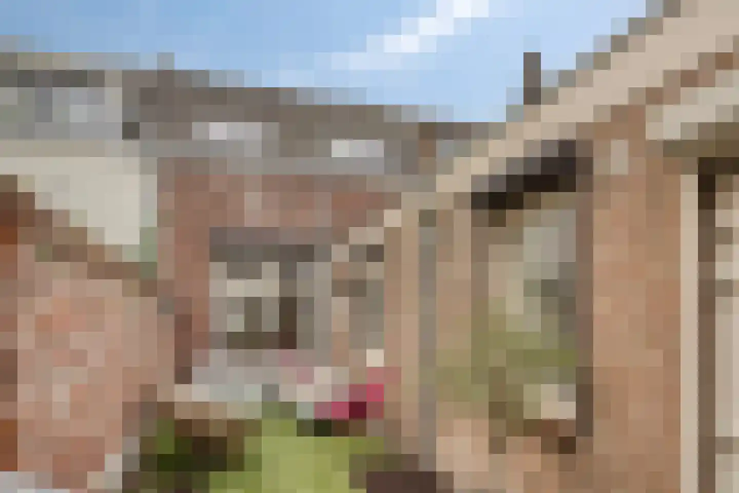 Coehoornstraat 49 Bergen op Zoom thumbnail 29